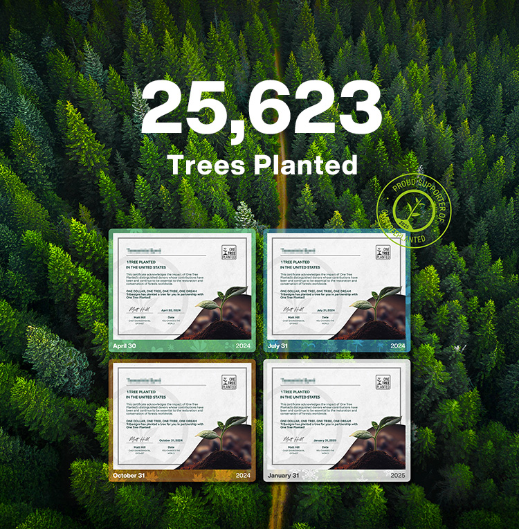 来利国际w66官方网站