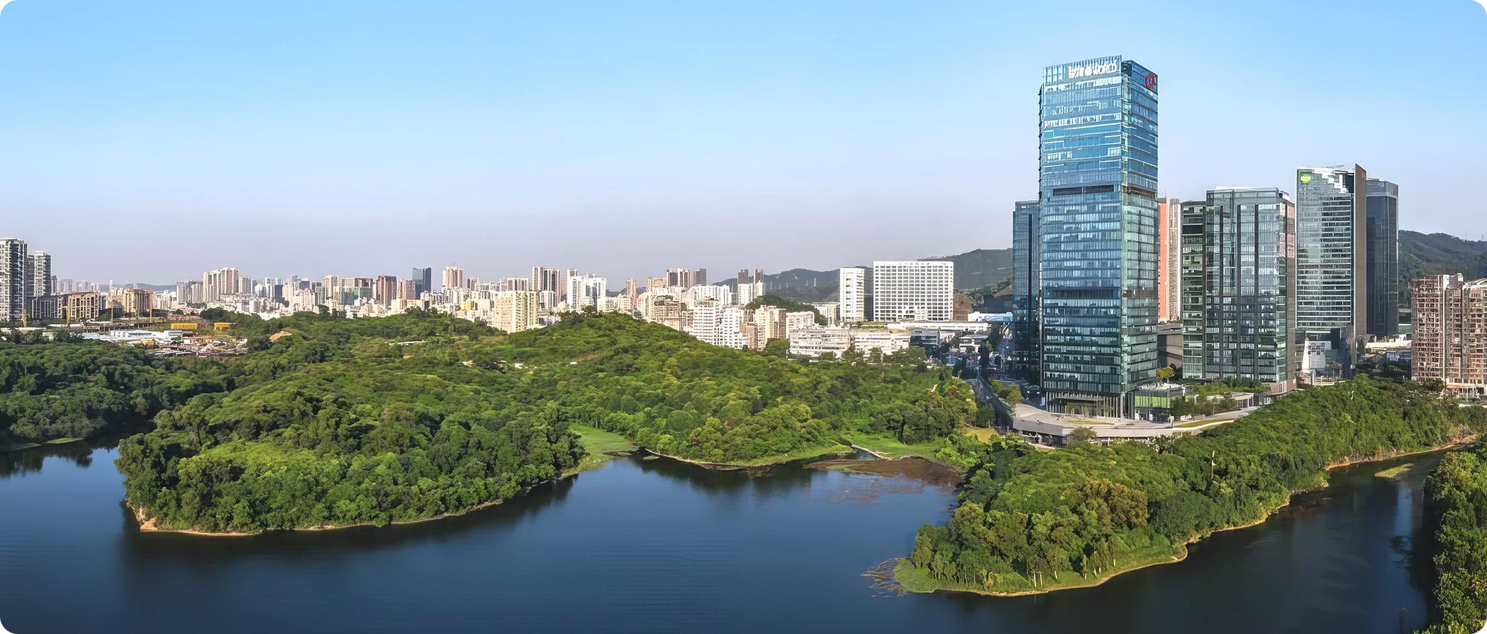 来利国际w66官方网站