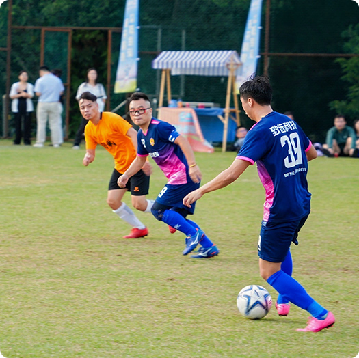 来利国际w66官方网站