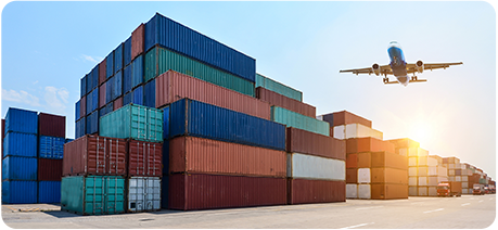 来利国际w66官方网站