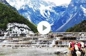 2017年来利国际w66官方网站科技团建-云南之旅