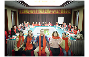 来利国际w66官方网站科技2018年治理层述职暨2019年岁情安排聚会