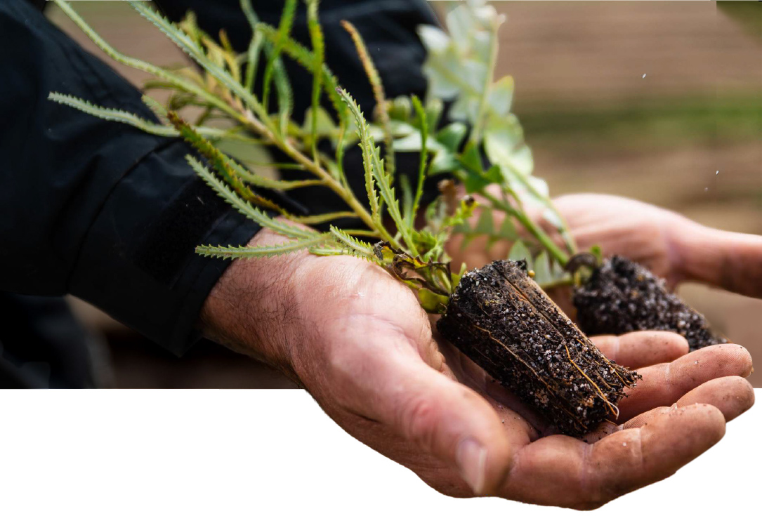 来利国际w66官方网站