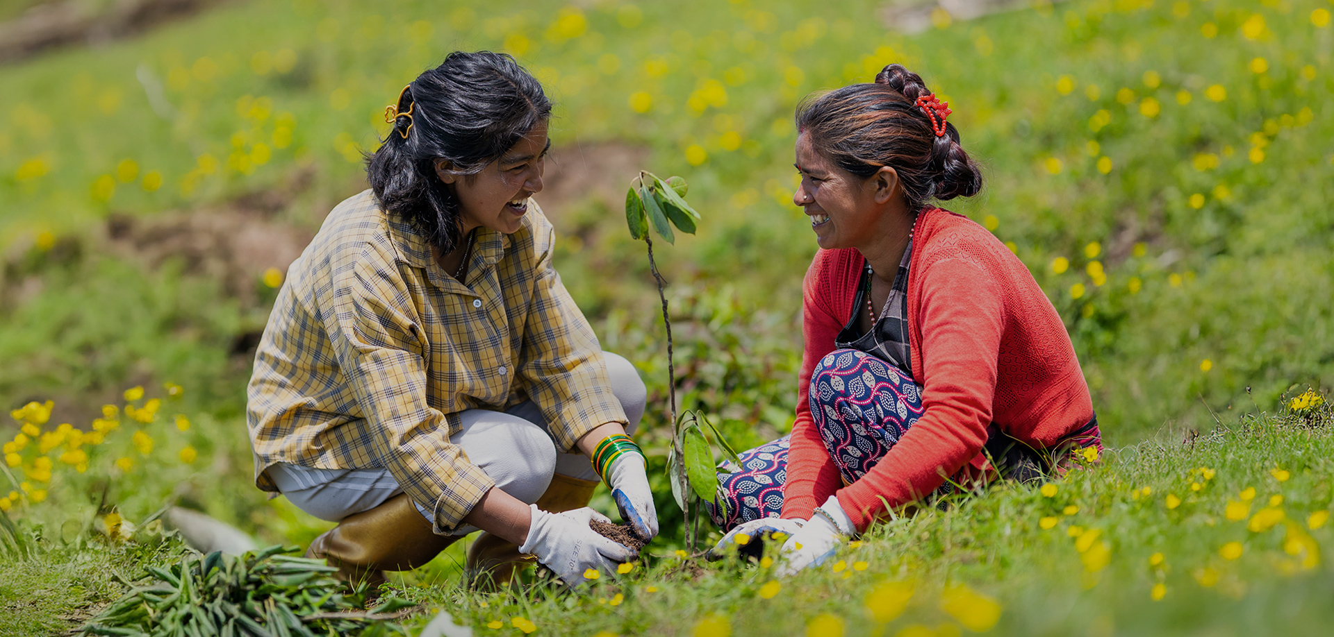 来利国际w66官方网站
