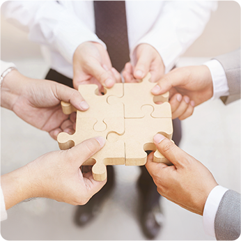 来利国际w66官方网站