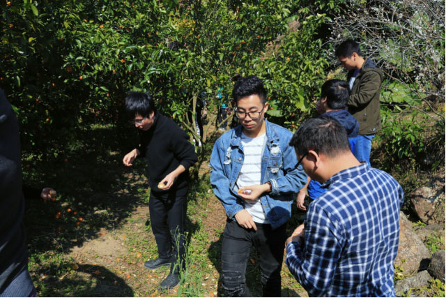 来利国际w66(中国集团)官方网站